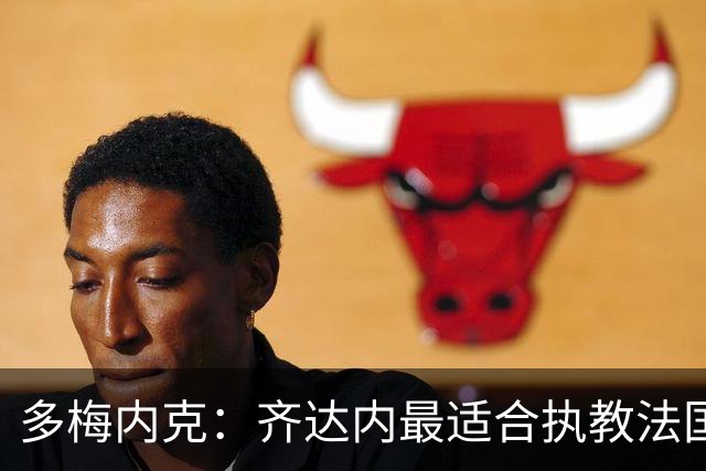 多梅内克：齐达内最适合执教法国，他需先和领袖球员取得联系